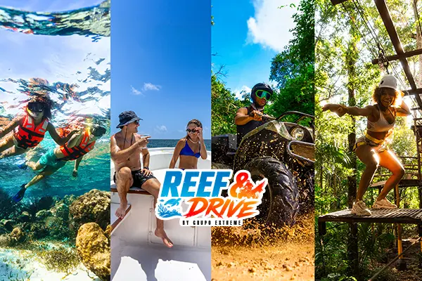 Reef And Drive