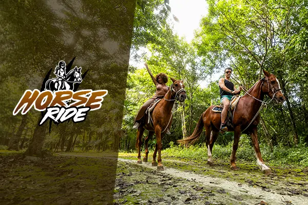 Extreme Horses Adventure