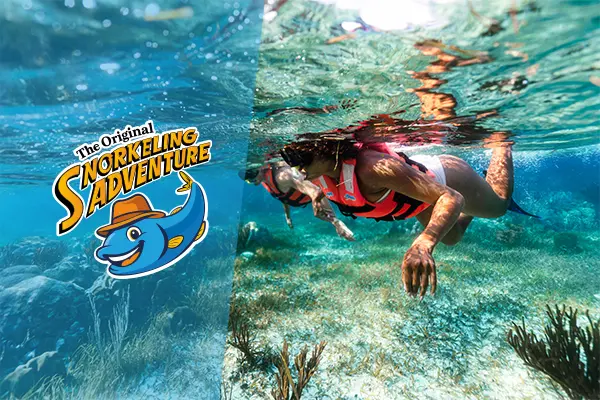 Snorkeling Adventure