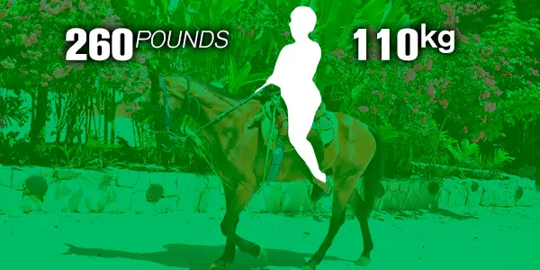 What is the maximum weight for the horseback ride?